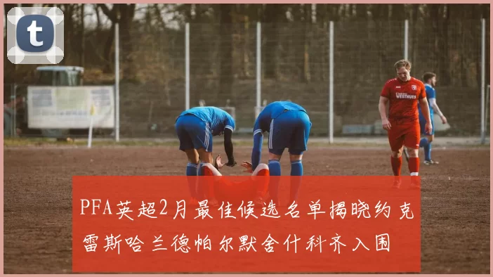 PFA英超2月最佳候选名单揭晓约克雷斯哈兰德帕尔默舍什科齐入围