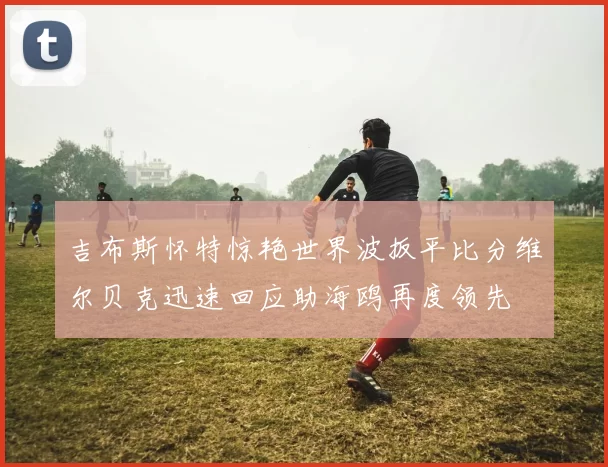 吉布斯怀特惊艳世界波扳平比分维尔贝克迅速回应助海鸥再度领先